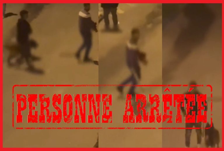 توقيف عشريني بالعرائش بعد ظهوره في فيديو وهو يشهر سلاحًا أبيضًا ويثير الفوضى رفقة كلب شرس