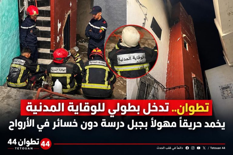 تطوان.. تدخل بطولي للوقاية المدنية يخمد حريقا مهولا بجبل درسة دون خسائر في الأرواح